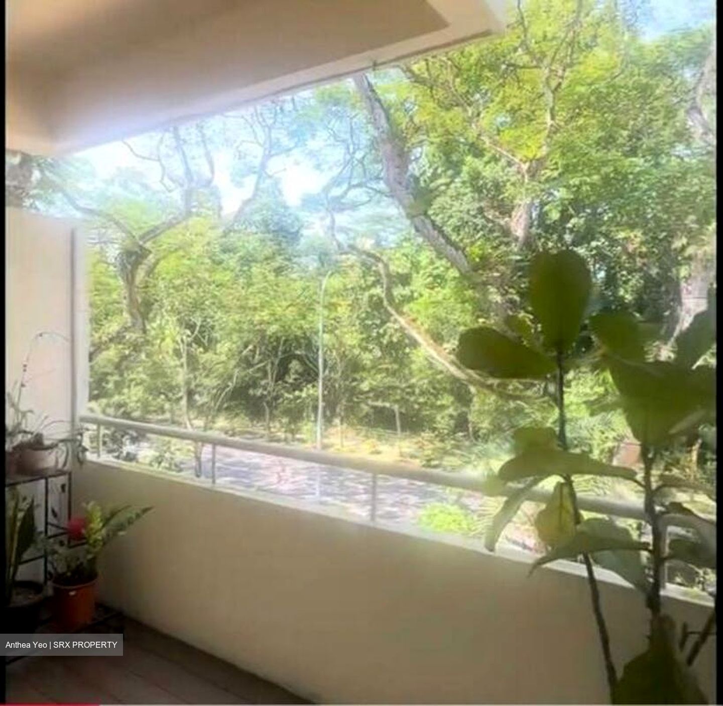 Hillcrest Arcadia (D11), Condominium #521133671